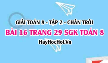 Bài 16 trang 29 Toán 8 Tập 2 Chân trời sáng tạo